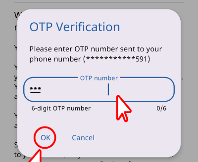 Enter the OTP number sent to your phone, then click the OK button